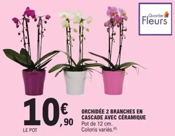 Orchidée 2 Branches En Cascade Avec Céramique offre à 10,9€ sur E.Leclerc