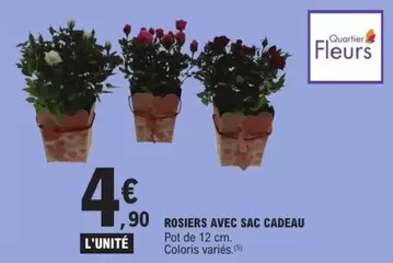 Rosiers Avec Sac Cadeau offre à 4,9€ sur E.Leclerc Express