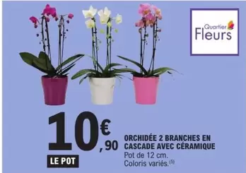 Orchidée 2 Branches En Cascade Avec Céramique offre à 10,9€ sur E.Leclerc Express