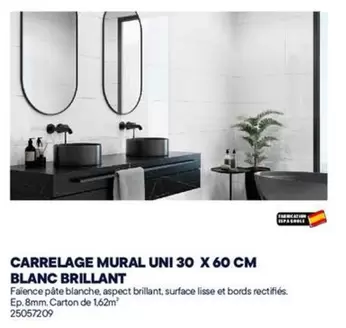 U - Carrelage Mural ni 30 X 60 Cm Blanc Brillant offre sur Bricoman