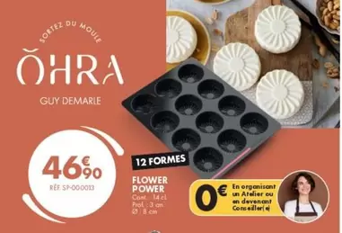 Elower Power offre à 46,9€ sur Guy Demarle