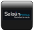 Logo Salaün Holidays