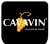 Logo Cavavin